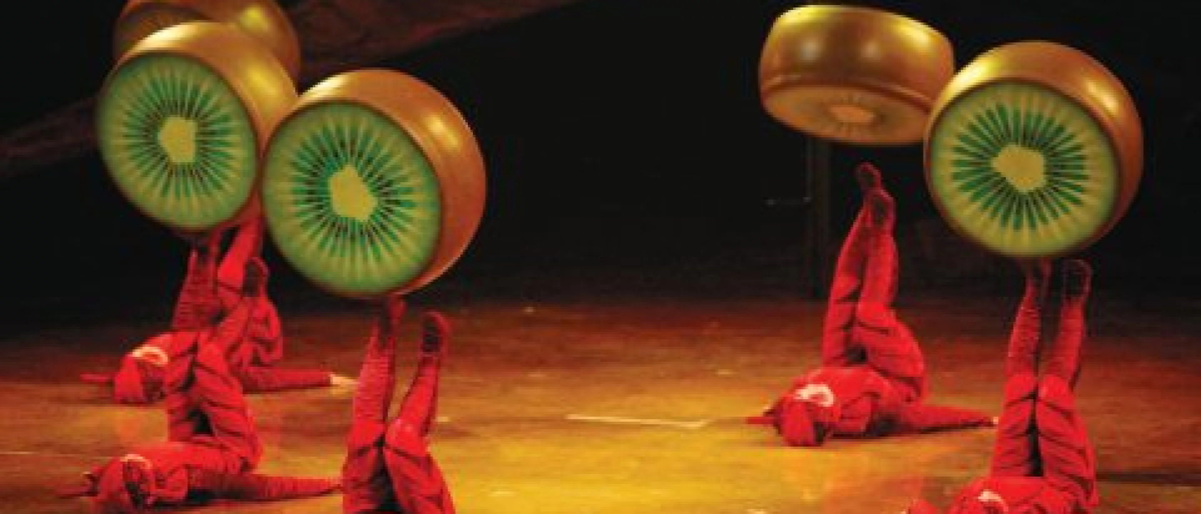 Le Cirque du Soleil