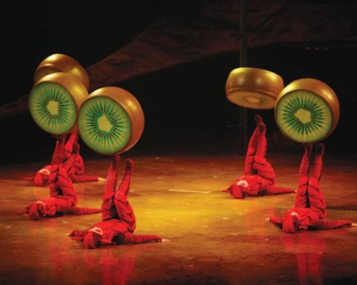Le Cirque du Soleil