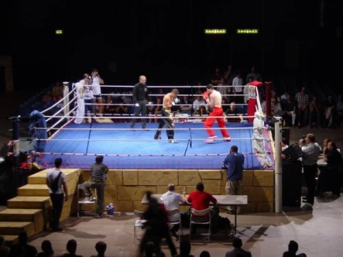 Absolute Fight
