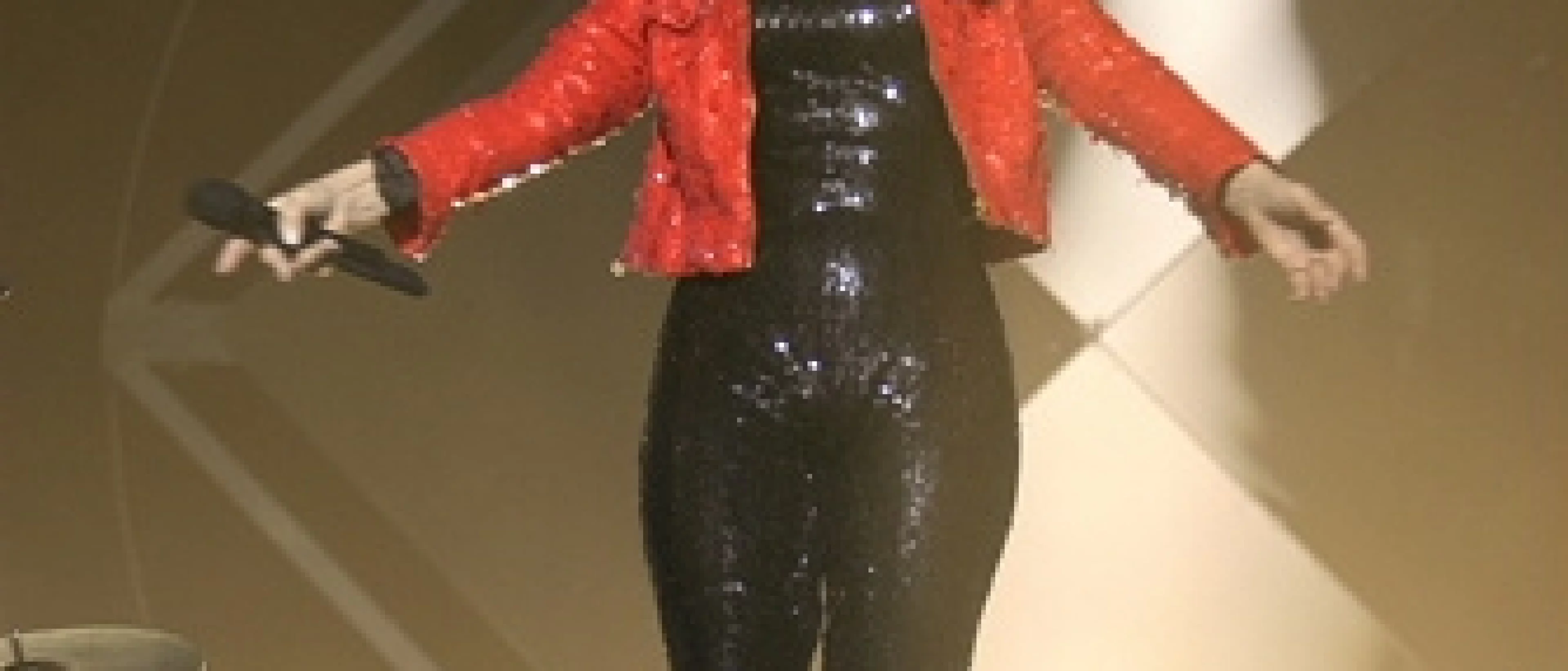 Sylvie VARTAN