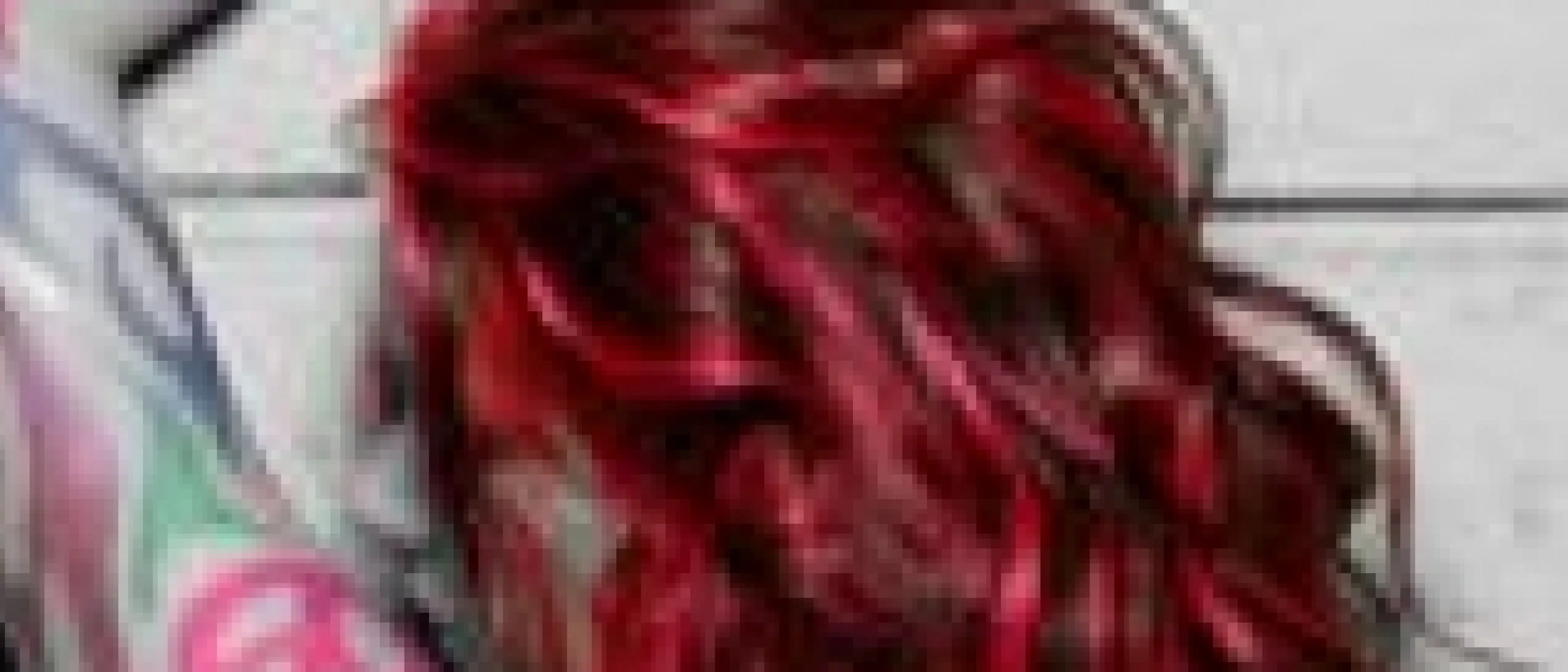 (Joss STONE)