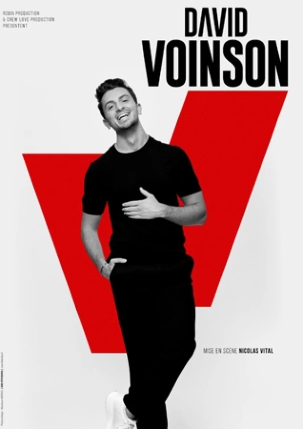 David VOINSON