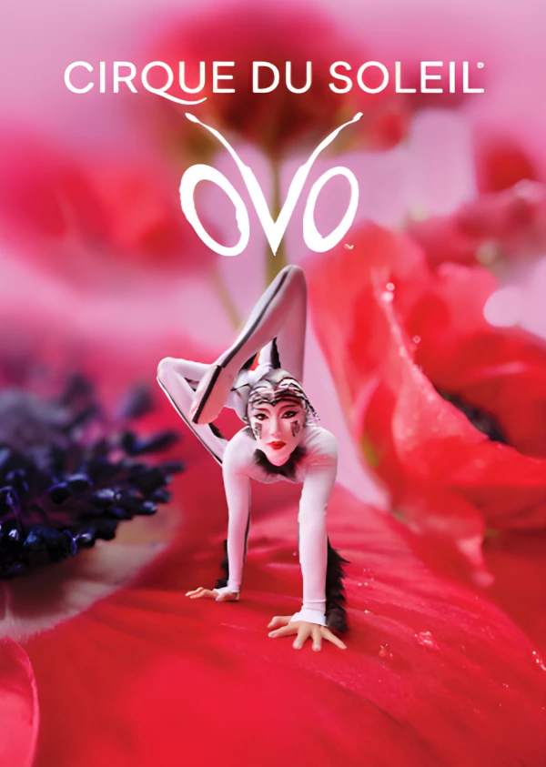 CIRQUE DU SOLEIL - OVO